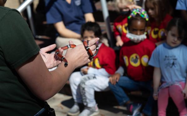Zookeeper holding a coral snake, in front of a small crowd of children.