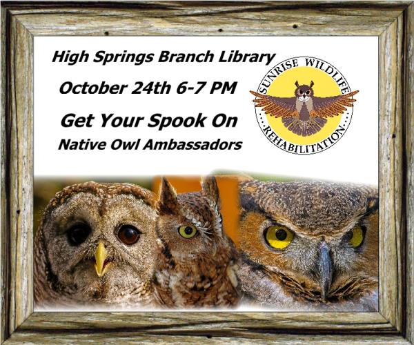 Image for event: Live Owls Spook Library