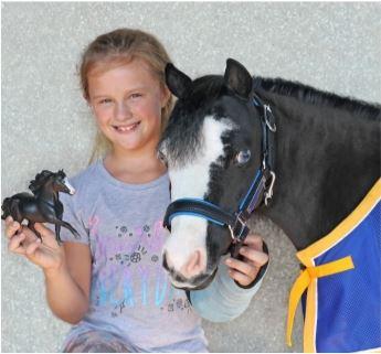 Image for event: Gentle Carousel Miniature Therapy Horses	