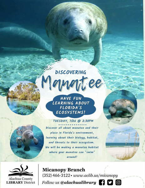 Image for event: Discovering Manatee