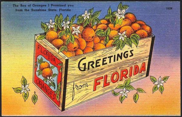 Image for event: Wayfaring Painter Presents: Designing with Vintage Florida